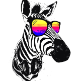 Zebra_SA